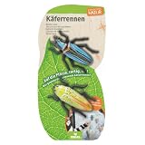 moses. Expedition Natur Käferrennen – 2 Kletterkäfer für Wettrennen
