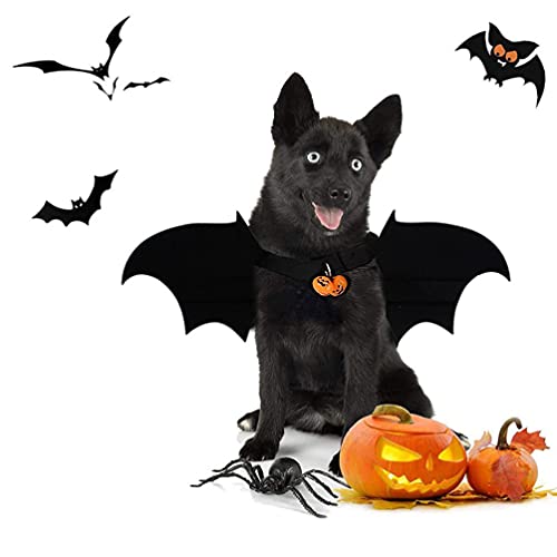 Disfraz de murciélago para perros y gatos Halloween miniatura 7