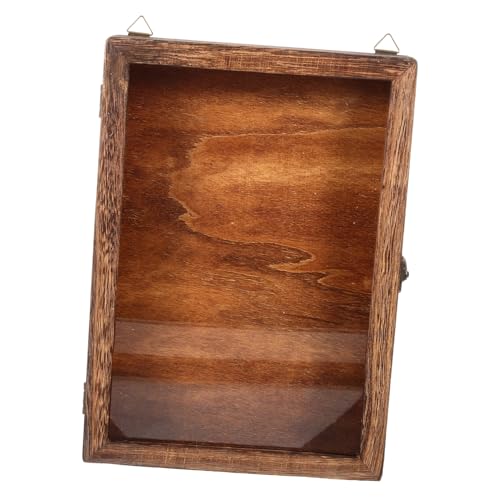 Yardenfun Vitrine Exposition Vide Bois Pour Spécimens Insectes Avec Cadre Transparent Et Couvercle