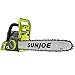 Sun Joe ION16CSCT iON16CS-CT 40-Volt Cordless 16-Inch Chain Saw w/Brushless Motor (Batte, Tool Only