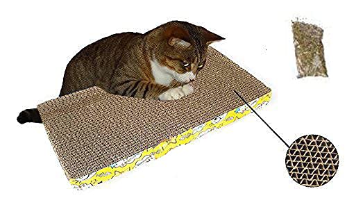 Sage Square Jumbo Size Scratching Board Scratch Pad Cum Healthy Toy with Catnip for Cat/Kitten/Puppy (B084Q92DH3) Amazon Price History, Amazon Price Tracker