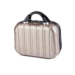 Balakaka Kosmetikkoffer Hartschale Damen, 14 Zoll ABS Kosmetiktasche Schminkkoffer Kosmetikkoffer Reisetasche mit Handgriff und Reißverschluss, Beauty Case Hartschale für Reise Ausflug Champagner