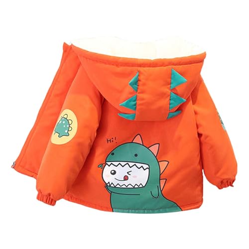 [dvbfvjei] q WPbg LbY ~ H EChu[J[ t[ht j̎q N  g Wp[ {[CY n   R[g h h ۉ p[J[ JWA t H ~ ʉ ʊw AEghA