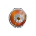 Orange Dark White Beautiful Flowers Hand Compact Mirror Round Portable Pocket Glass