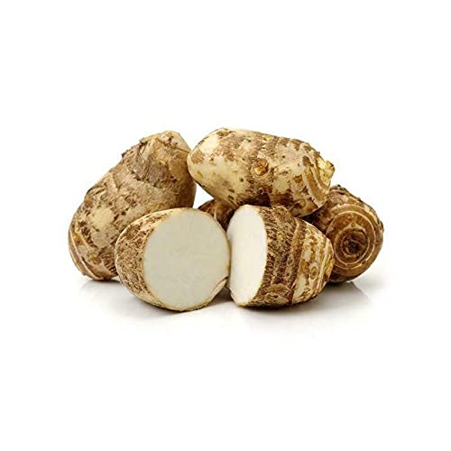 2 corm of Eddoe – COLOCASIA ANTIQUORUM ESCULENTA – EDDO
