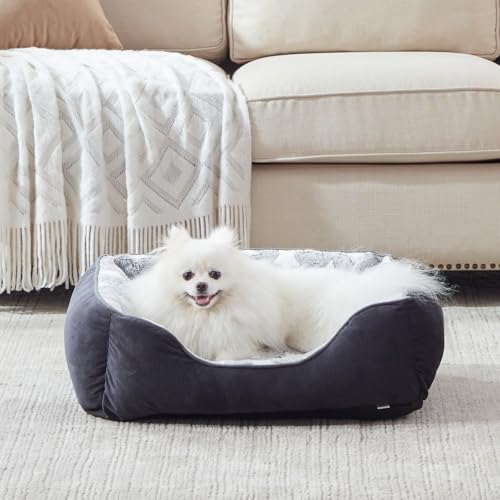 FURTIME Cuccia Cane Letto per Cani Cuscino Lavabile e Antiscivolo Lettino Morbido Divano per Cani Cuccia Cane Interno Taglia Piccola Brandina per Gatto S(51x48x18cm) Nero