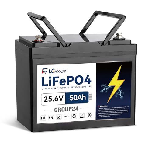 24V 100Ah LiFePO4 Lithium Battery with BMS