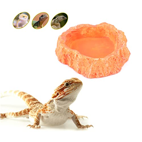Toddmomy Simulation Reptile Feeding Bowl Thick Non Skid Dish for Lizard and Turtle Easy Clean Orange Crawling Food Container for Reptile Supplies and Water Storage