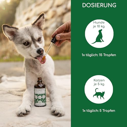 Bio Hanföl für Hunde und Katzen 100ml I 100% Natürlich und Kaltgepresst - Unterstützung für Fell & Haut durch Omega 3-6-9, DE-ÖKO-060