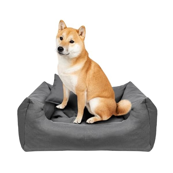 Creative Pets Hundebett 65x55x19 cm | grau | Hundekorb Katzenbett | Bett mit Kissen | Hundesofa | weich bequem | Schlafplätze Möbel für kleine und mittelgroße Hunde