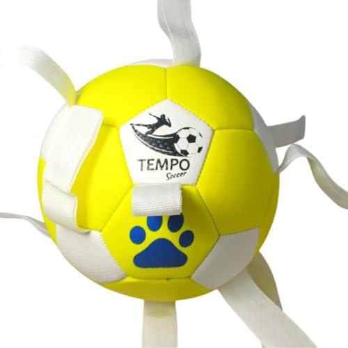 MONDOGIOCHI Pallone per Cani Energici con Corde,Palla per Cani Facile da Afferrare, Palla Galleggiante in PVC per Gioco Interattivo Indoor Outdoor 4 Colori (Giallo Neon)