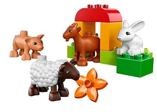 LEGO 10522 - Duplo Bauernhof-Tiere – Bild 4