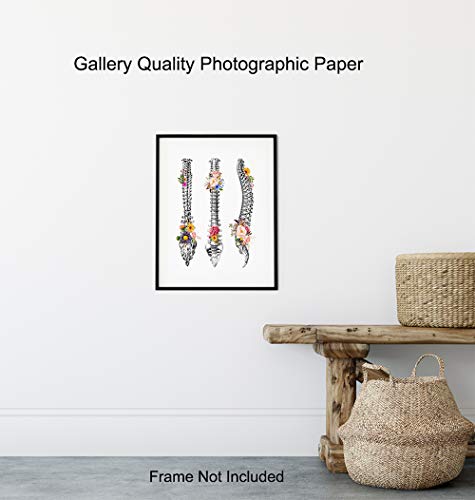 Orthopedic Human Anatomy Medical Poster - Spine, Back, Backbone Wall Art Decor For Doctor Office, Clinic - Gift For Er Nurse, Rn, Cna, Physicians Assistant, Physical Therapist, Chiropractic Dr #TOP7