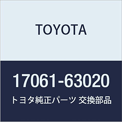 Toyota Genuine Parts Diaphragm SUB-ASSY Camry/V-Ist A, Corona, Part Number 17061-63020