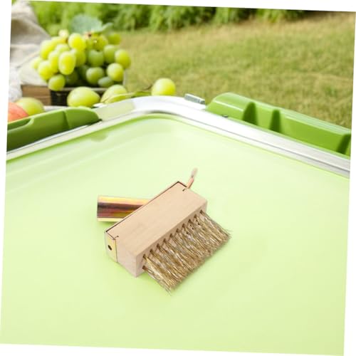 Brosse métallique pour désherbage : éliminer la mousse des joints de terrasse