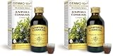 Dr. Giorgini Integratore Alimentare, Ginepro Gemmoderivato Concentrato Liquido Analcoolico - 100 ml (Confezione da 2)