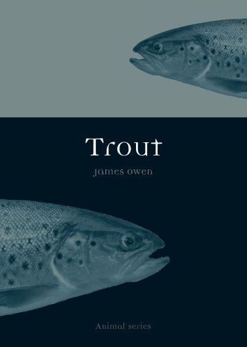 Trout (By: James Owen)