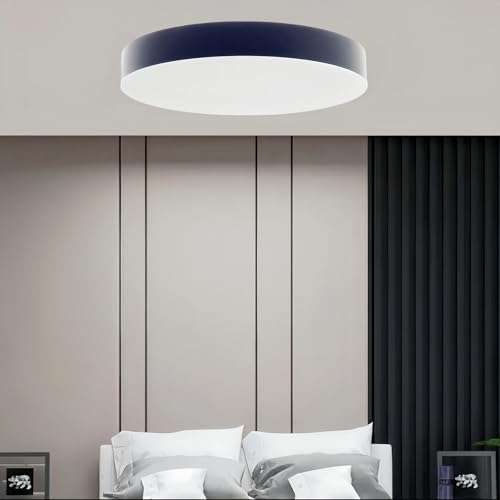 ANSIEN Plafon Led de Techo 24W (CCT Cambio en Blanco-Neutro-Cálido),Superficie Panel Downlight LED Circular Φ300mm Lampara Para Sala de Estar,Comedor,Dormitorio (Black)