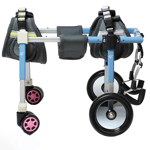 Genérico Silla de Ruedas para Perros de 4 Ruedas con Soporte para piernas y Cadera, Ajustable para la recuperación de extremidades, Ligera y Auxiliar para Cachorros (XXL)