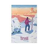 trysil ikea armadio istruzioni I poster su tela sono diversi dai poster di carta in quanto non si deteriorano a causa di fattori ambientali come l'umidità.