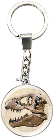 Deluxebase Magnidome Keychains - T-Rex from Crystal Glass Key Ring Pendant. Domed shaped Dinosaur picture keychain with a stainless steel chain