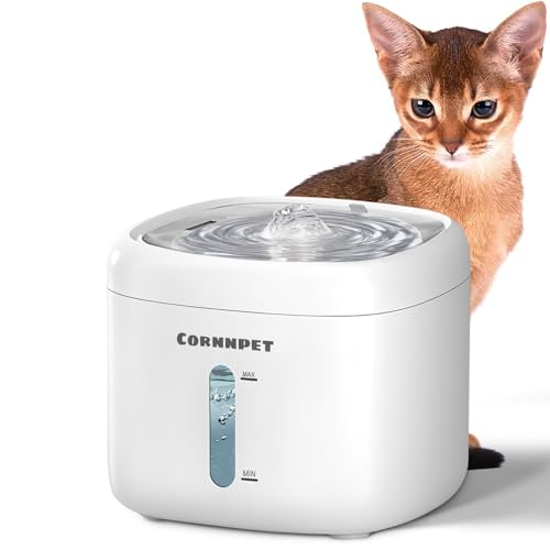 Stainless Steel Lid Cat Water Fountain 74Oz/2.2L for Drinking - Pet Fountain for Small Animal - Dogs Waterer Bowls Indoor