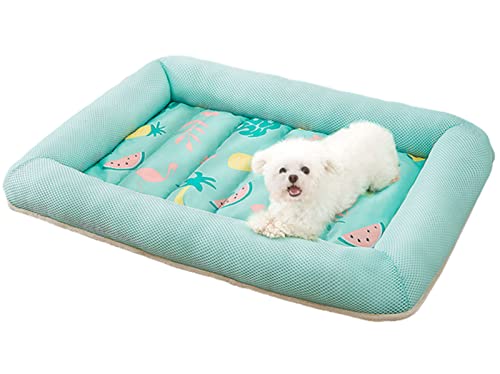 SUNCN ƔLp̃ybgxbhAppbhAėppbhAybg\t@AڐGppbhANbVAЂ芴AMیAA􂦂AʋCA_炩Aėp\A^Ƒ^ O[A S