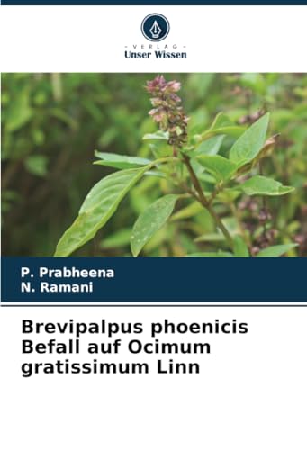 Brevipalpus phoenicis Befall auf Ocimum gratissimum Linn: DE