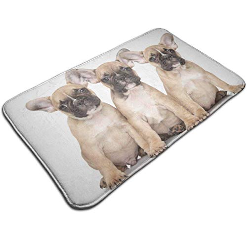 Zerbino per interni carino Bulldog francese Cuccioli da cucina, resistente, per esterni, lavabile, 40 x 60 cm, per camera da letto, giardino, corridoio