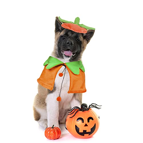Adoggygo Halloween Dog Cat Costumes Dog Halloween Pumpkin Cloak Hat Set Pet Halloween Costumes For Cats Small Medium Dogs (Medium, Pumpkin) #TOP2