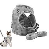 Katzengeschirr, Adsshopp katzenleine Verstellbarer Geschirr für Katzen Weich Brustgeschirr für Haustiere Welpe (Grau , Größe S Büste 29-33cm)