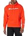 Champion Men's Powerblend Applique Hoodie