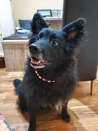 Halsband, EM-Keramik, Schutz gegen Zecken, neu Handarbeit, Hund