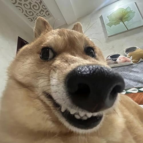 Wisdom on Solving the Mystery of Jew Hate for Good