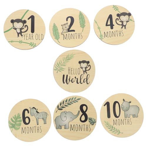 Homoyoyo 7ؐxr[}CXg[J[h ȐL^ 