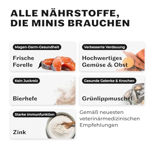 HEY HOLY Hundefutter Soft für Minis 100% getreidefrei | Softfutter | 2.5 kg weiches Trockenfutter für ausgewachsene Minis mit Forelle | Hochverträglich aus natürlichen Zutaten