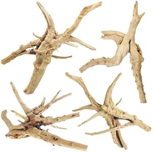 Tfwadmx Natural Wood Treibholz Aquarium Dekoration 4 Stück