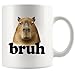 Panvola Capybara Bruh Capybara Animal Lover Gifts Pet Owner For Dad Mom Brother Sister Funny Novelty Drinkware Ceramic Mug (White, 11 Ounces)