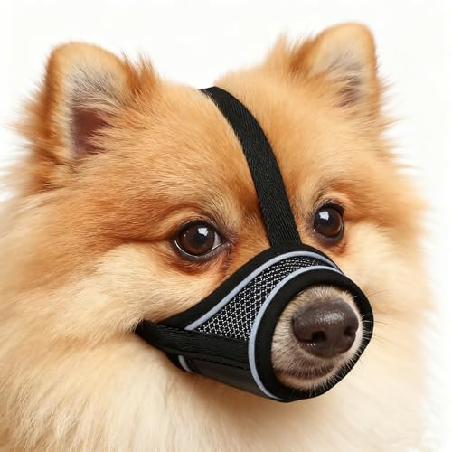 Maulkorb für Hunde, Nylon-Maulkorb Für Hunde Verstellbares Gurtband Geeignet für Maulkörbe von mittleren und großen Hunden Verhinderung von Bellen, Beißen und Kauen (XS)