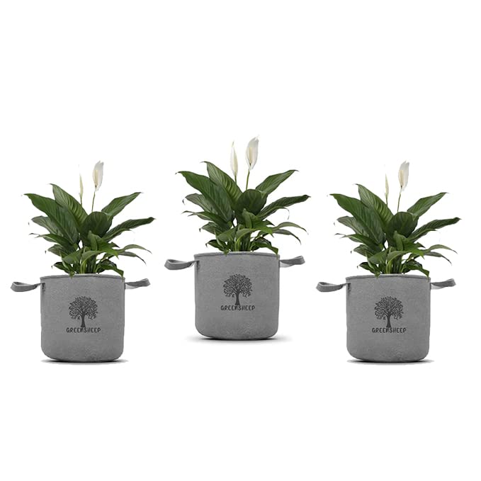 GREENSHEEP Geo Fabric Grow Bags for Terrace Gardening, Balcony, Vegetables, Plants, Fruits and Flower with Handles - Breathable and Reusable Plant Bags for Indoor (Grey) (Pack of 3) (Size-12x12)