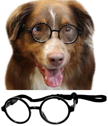 G003 Dog Pet Round Costume Prop Clear Lens Glasses Sunglasses Medium Breeds 18-40lbs (Black-Clear)