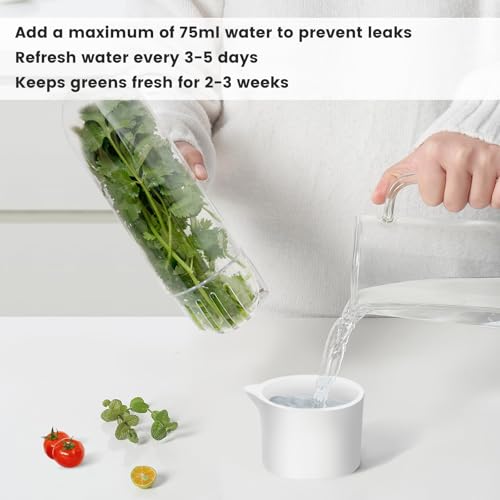 Image of Herb Keeper for Refrigerator, Herb Saver for Refrigerator, Cilantro Container, Vegetable Preservation Bottle for Cilantro, Mint, Parsley, Asparagus, Keeps Greens Fresh for 2-3 Weeks (3PCS)