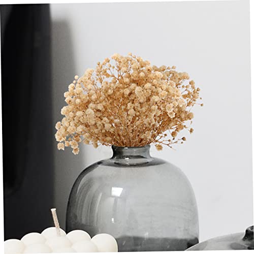 Flores secas Babys Breath 6 pcs para decoración natural miniatura 3