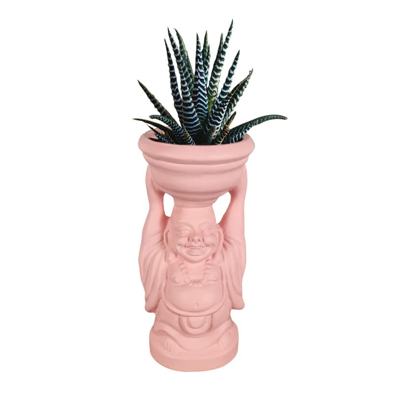 See full amazon price history chart for Lasaki Laughing Buddha Pink Ceramic Pots for Indoor Plants, Planters, Flower, Pots, gamla, Outdoor, Balcony, Home, Garden, Office Decor, Succulent Pot(D - 10 X H - 23.5 cm)(Plants not Included) Lasaki Laughing Buddha Pink Ceramic Pots for Indoor Plants, Planters, Flower, Pots, gamla, Outdoor, Balcony, Home, Garden, Office Decor, Succulent Pot(D - 10 X H - 23.5 cm)(Plants not Included) (B0BMYZ1BKB) Amazon Price History, Amazon Price Tracker