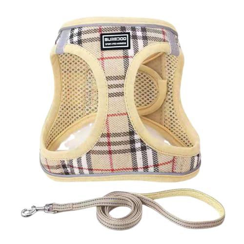 ideamall  n[lX ^ L  pn[lX Lp  bVf U EȒP x[W (XXS)