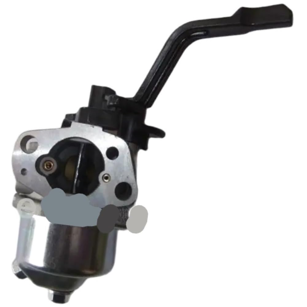 Pljyocdo One Color P19 Carburetor Fit For 2Kw 3Kw 170F 168F Generator Parts
