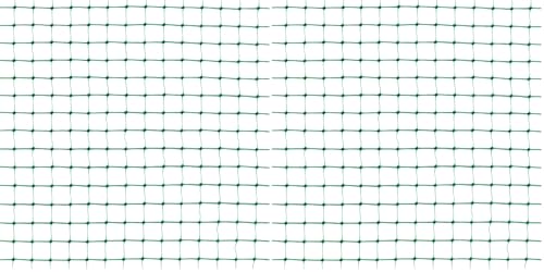 Tenax ORTOFLEX 4,00x5 m Vert, Filet Anti-Oiseaux pour Protéger Les Fruits, Les Semences et Les Cultures de l’Attaque des Oiseaux, Emballage en Boîte (Lot de 2)