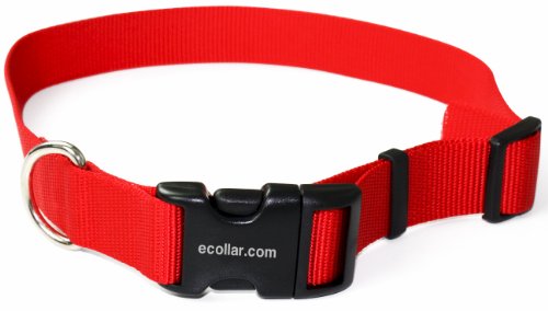 Educator Nylon Quick Snap Dog Collar, Fast, Easy Connect and Disconnect Clasp, D Ring, Adjustable for Custom Fit, 3/4-Inch, Red
