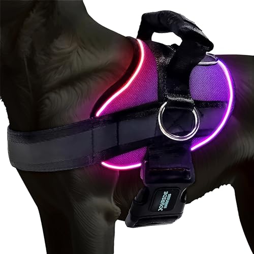 Joyride Harness LED 2.0
