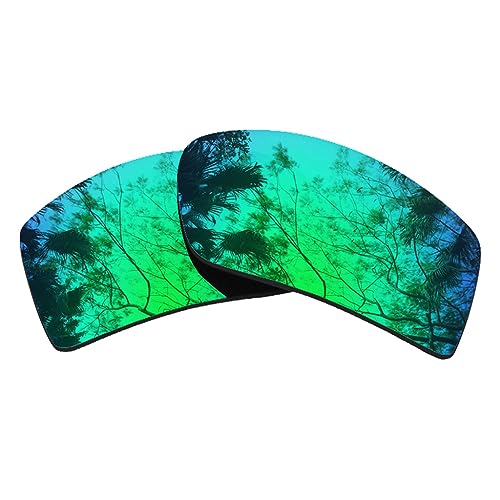 HiCycle2 Verres polarisés de rechange pour lunettes de soleil Oakley Gascan - Plusieurs options - Avec chiffon, Vert, Oakley Gascan width millimeters